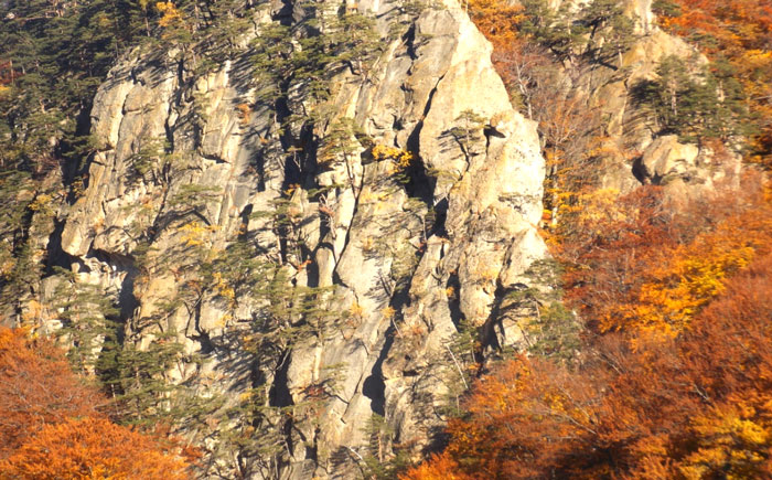 Rock face