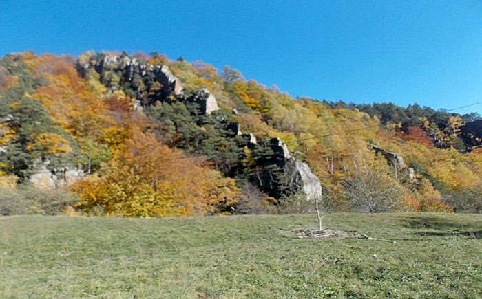 Pieptenele